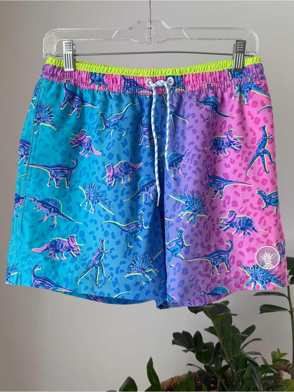 Chubbies Swim Trunks Men's SMALL Colorful Dino Delights 5.5" Dinosaur Fun Print